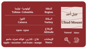 جبل أحد